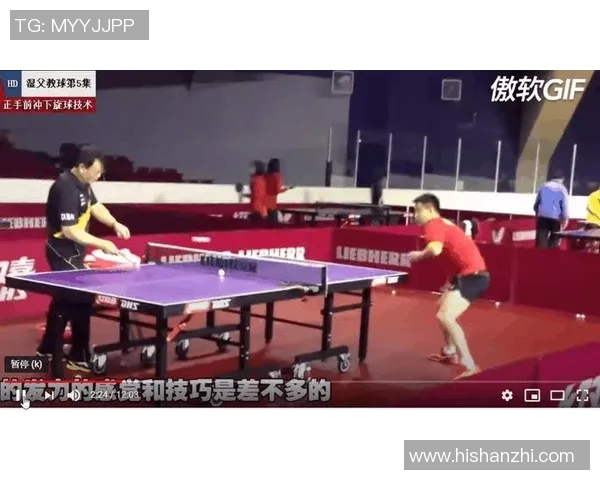 乒乓球赛事技术分析报告及其对运动员表现的影响研究与探讨